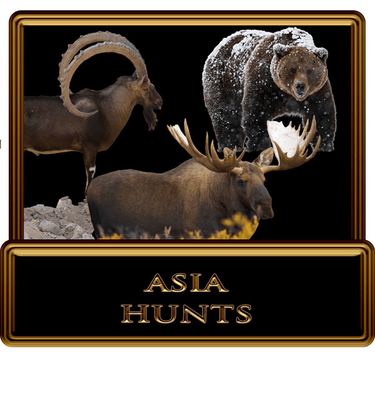 World-Class-Asia-Big-Game-Hunts – Legacy Outdoors